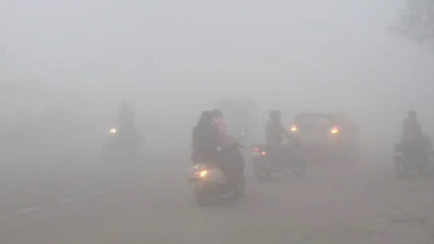 Photo of पंजाब में कड़ाके की ठंड: घने कोहरे से विजिबिलिटी शून्य