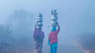 Photo of यूपी में पांच डिग्री तक गिरेगा पारा, कोहरे संग चलेंगी बर्फीली हवाएं; कल भी बंद रहेंगे स्कूल