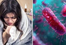 Photo of जानलेवा होता जा रहा है टायफाइड! एंटीबायोटिक दवाएं भी बेअसर