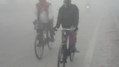 Photo of पंजाब में चार दिन घने कोहरे का अलर्ट: दो पश्चिमी विक्षोभ सक्रिय होने से बदलेगा मौसम