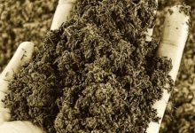 Photo of खतरे में ‘मिट्टी’: ग्लोबल वार्मिंग ने खत्म किए 70% सूक्ष्म जीव, थाली तक पहुंच रहा कुपोषण