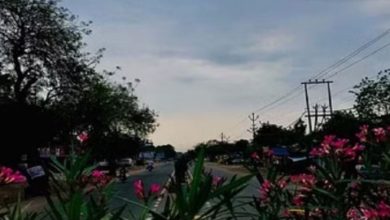 Photo of हरियाणा: पश्विम विक्षोभ के असर के चलते रात का तापमान बढ़ा