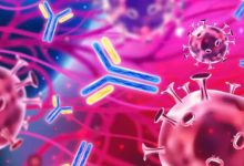 Photo of सिर्फ उम्र नहीं, बर्थप्लेस और जेंडर से भी तय होती है आपकी इम्युनिटी