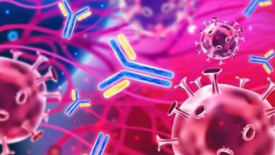 Photo of सिर्फ उम्र नहीं, बर्थप्लेस और जेंडर से भी तय होती है आपकी इम्युनिटी