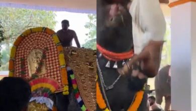 Photo of मंदिर में चल रहा था उत्सव, हाथी ने सूड़ में उठाकर युवक को पटक दिया