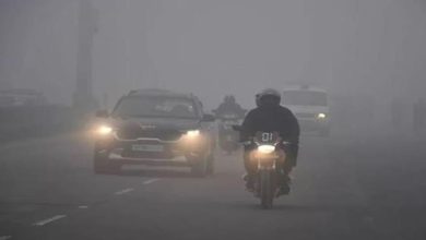 Photo of बरेली, गोरखपुर समेत कई जिलों में घना कोहरा, तापमान में उछाल का अलर्ट!