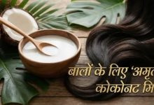 Photo of झाड़ू जैसे बाल भी बनेंगे रेशमी और घने, बस हफ्ते में 2 बार ऐसे करें नारियल के दूध का इस्तेमाल