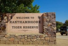 Photo of रणथंभौर टाइगर रिजर्व: टाइगर सफारी के दौरान बिगड़ी जिप्सी, अचानक बैरिंग-सस्पेंशन रॉड टूटी