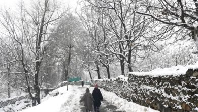 Photo of कश्मीर घाटी में फिर बदला मौसम, गुलमर्ग और गुरेज में ताजा बर्फबारी