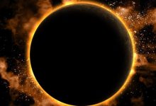 Photo of जानवरों पर सूर्य ग्रहण का क्या होता है असर? जानकर हो जाएंगे हैरान