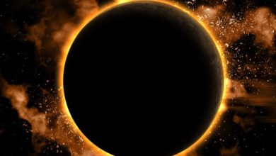 Photo of जानवरों पर सूर्य ग्रहण का क्या होता है असर? जानकर हो जाएंगे हैरान