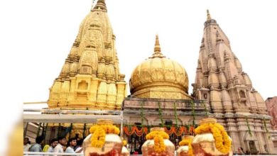 Photo of महाशिवरात्रि पर एक हजार भक्त करेंगे बाबा की मंगला आरती, 10 लाख श्रद्धालु करेंगे दर्शन