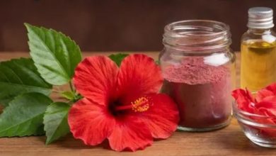 Photo of ग्लोइंग स्किन और मजबूत बालों का राज है गुड़हल