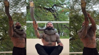 Photo of किंग कोबरा को गले में लपेट शख्स कर रहा था स्टंट, देखकर खड़े हो जाएंगे रोंगटे