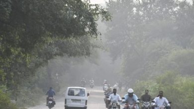 Photo of MP में बारिश-आंधी के साथ कोहरे का असर, आज 20 जिलों में अलर्ट