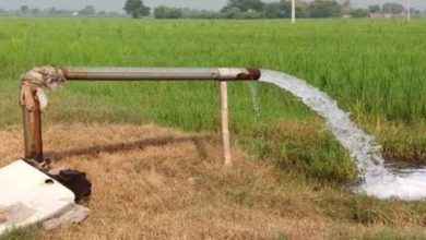 Photo of हरियाणा में इन किसानों को जल्द जारी होंगे लंबित ट्यूबवेल कनेक्शन