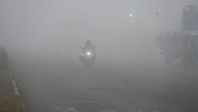Photo of मध्य प्रदेश में मौसम का यू-टर्न, 20 जिलों में कोहरा…