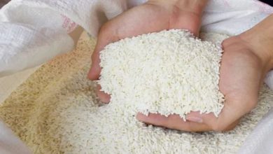 Photo of PMGKAY के तहत फ्री में मिलने वाले अनाज पर सरकार का बड़ा फैसला