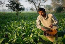 Photo of अब किसानों को सालाना मिलेंगे 9 हजार रुपये; नीतीश सरकार ने कर दिया बड़ा ऐलान