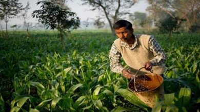 Photo of अब किसानों को सालाना मिलेंगे 9 हजार रुपये; नीतीश सरकार ने कर दिया बड़ा ऐलान