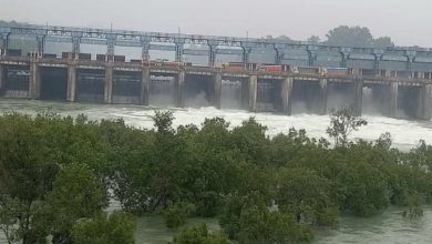 Photo of पानी विवाद: रावी-ब्यास पानी आपूर्ति के हरियाणा और पंजाब के दावों को परखेगा ट्रिब्यूनल