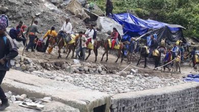 Photo of केदारनाथ यात्रा से पहले घोड़ा-खच्चरों का पंजीकरण शुरू