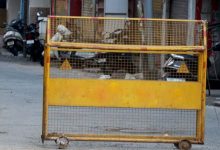 Photo of दिल्ली में गुम हो रहा भविष्य… 1491 बच्चे अब भी लापता