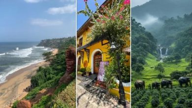 Photo of केरल घूमने जा रहे हैं? इन जगहों पर पहुंचे बिना ट्रिप अधूरी रह सकती है