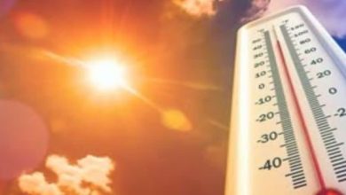 Photo of हरियाणा में जल्द गर्मी देगी दस्तक, इस वजह से बदला मौसम का मिजाज… 