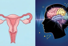 Photo of सिर्फ हॉर्मोन्स नहीं, दिमाग पर भी असर डालता है मेनोपॉज