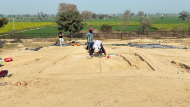 Photo of राखीगढी में खोदाई में निकले पत्थर के मनके: मछली और कछुए के अवशेष