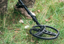 Photo of दिल्ली के स्कूलों में मिली बम की धमकी, मचा हड़कंप, जांच में जुटी पुलिस