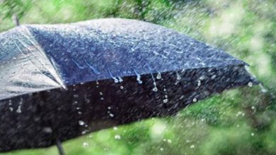 Photo of हरियाणा में इस दिन से फिर एक्टिव होगा पश्चिमी विक्षोभ, गरज-चमक के साथ बारिश की संभावना