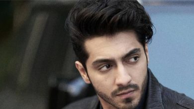 Photo of अहान पांडे कब शुरू करेंगे अगली फिल्म की शूटिंग?