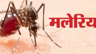 Photo of  बरेली में मलेरिया की दस्तक, तीन मरीज मिले, घातक फेल्सीपेरम की चपेट में आई किशोरी