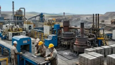 Photo of इसी साल शुरू होगा रेयर अर्थ मैग्नेट का उत्पादन, मंत्री ने खुद कर दिया एलान