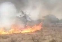 Photo of  खलिहान में लगी भीषण आग, ज्वार-चना की फसल जलकर खाक