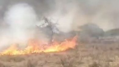 Photo of  खलिहान में लगी भीषण आग, ज्वार-चना की फसल जलकर खाक