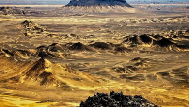 Photo of बलूचिस्तान के खजाने पर ट्रंप-शहबाज की नजर!