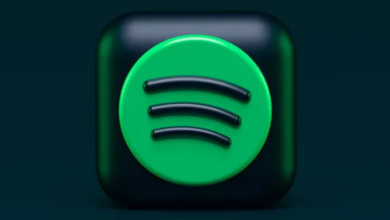 Photo of Spotify का बड़ा खुलासा, इंजीनियर्स ने दिसंबर से नहीं लिखा कोडिंग का एक भी लाइन