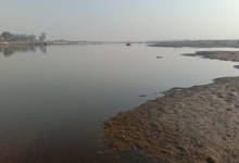 Photo of निजामुद्दीन से डीएनडी तक बदलेगी यमुना नदी की तस्वीर, डीडीए ने उठाई जिम्मेदारी…