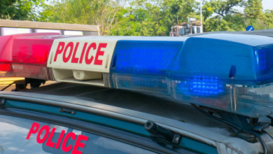 Photo of लुधियाना में बेखौफ बदमाश: ऑटो चालक से 11 हजार लूटे