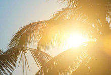 Photo of यूपी: प्रदेश में सुबह सात बजे से चमकीली धूप, दोपहर में मार्च जैसी तपिश