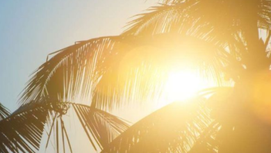 Photo of यूपी: प्रदेश में सुबह सात बजे से चमकीली धूप, दोपहर में मार्च जैसी तपिश