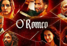 Photo of शाहिद कपूर की फिल्म ने तीन दिन के कलेक्शन से बॉक्स ऑफिस पर उड़ा दिया गर्दा