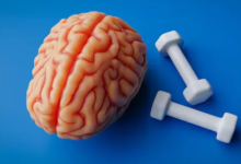 Photo of सिर्फ बॉडी ही नहीं, दिमाग को भी ‘फिट’ रखती है एक्सरसाइज