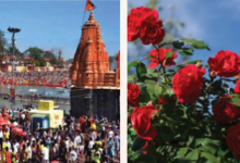 Photo of सिंहस्थ के लिए 4200 हेक्टेयर में होगी फूलों की खेती, विशेष क्लस्टर बनेगा