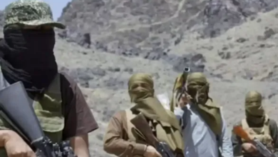 Photo of पाकिस्तानी सेना के खिलाफ जारी है ‘आपरेशन हेरोफ’