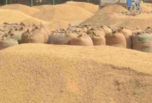 Photo of धान खरीदी केंद्र में 38 लाख का घोटाला, सात पर केस दर्ज