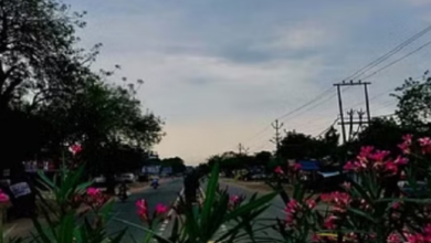 Photo of पश्चिमी विक्षोभ का नहीं दिखेगा असर, आते-जाते रहेंगे बादल… पर नहीं बरसेंगे